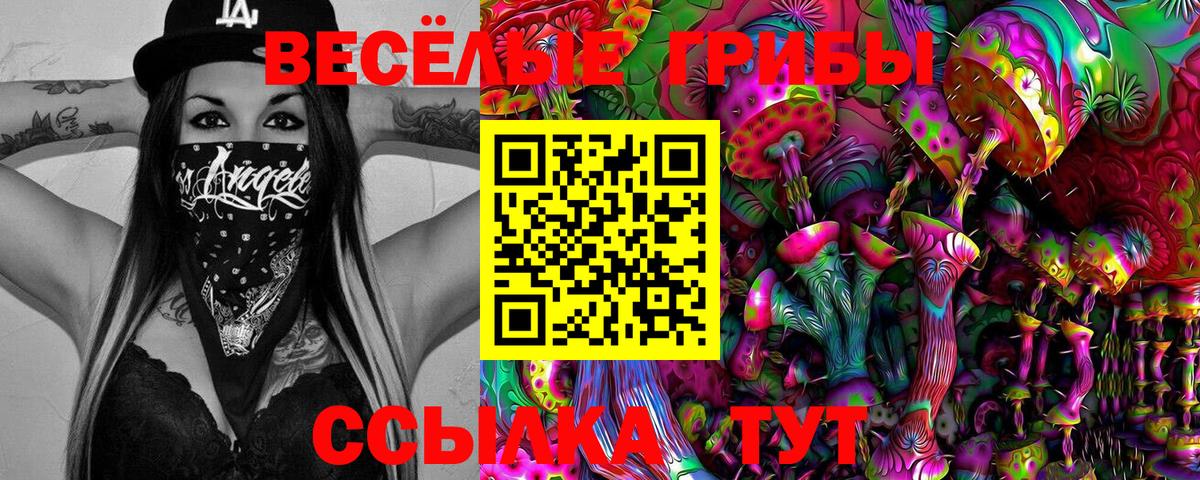 Псилоцибиновые грибы мицелий Кувандык