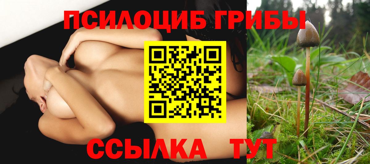 Псилоцибиновые грибы мухоморы  Вход с VPN  Кувандык 